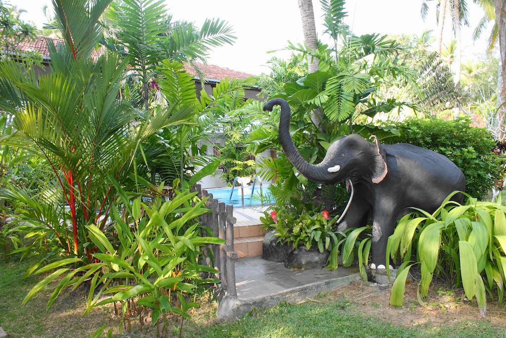 Pahalage Guesthouse Beruwala Kültér fotó